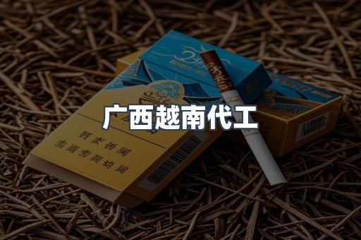 广西越南代工